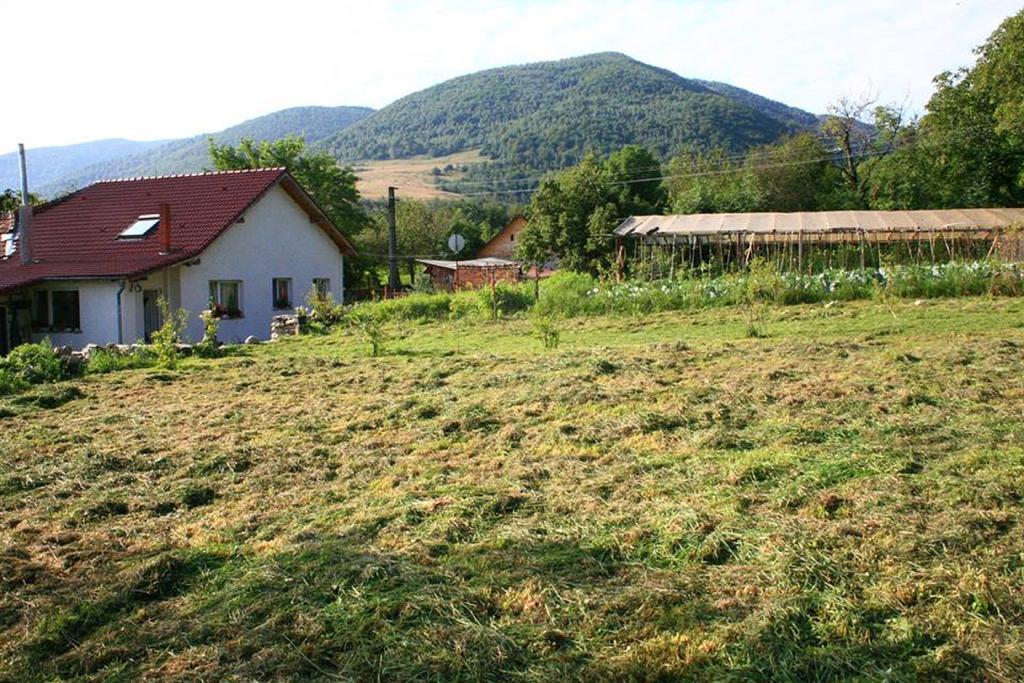 Cuibul Salamandrelor Hotel Várhely Kültér fotó