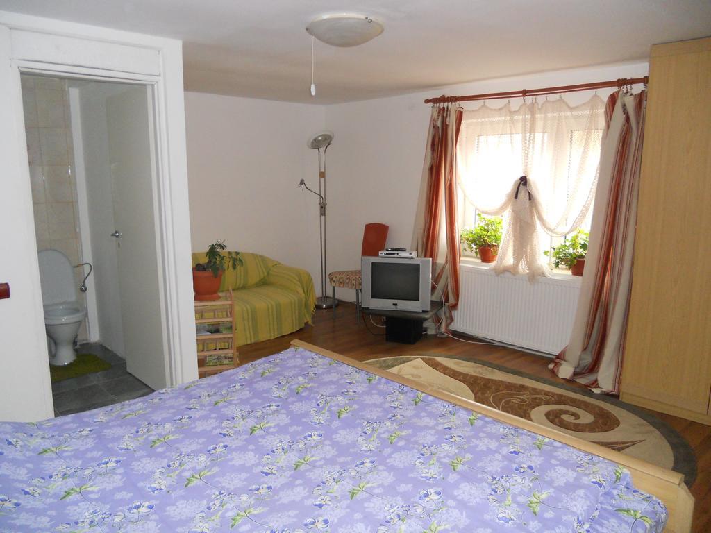 Cuibul Salamandrelor Hotel Várhely Kültér fotó
