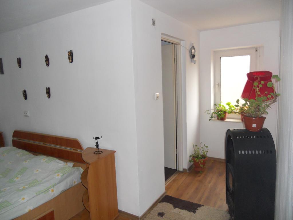 Cuibul Salamandrelor Hotel Várhely Kültér fotó