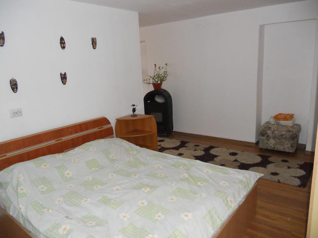 Cuibul Salamandrelor Hotel Várhely Kültér fotó