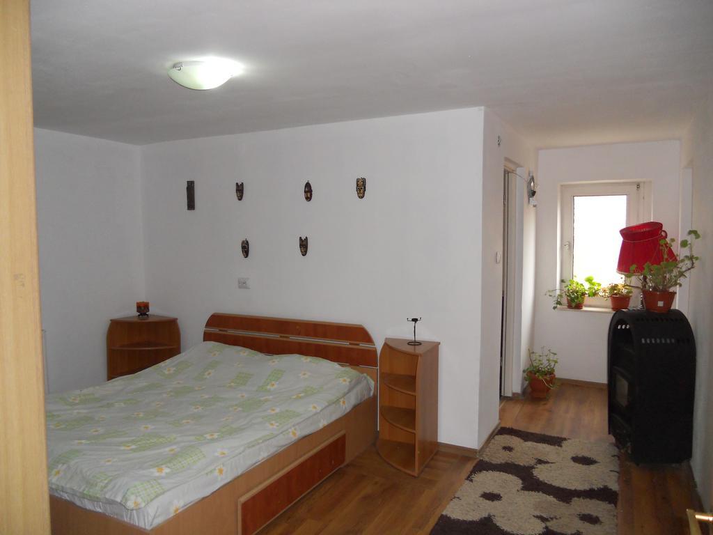 Cuibul Salamandrelor Hotel Várhely Kültér fotó