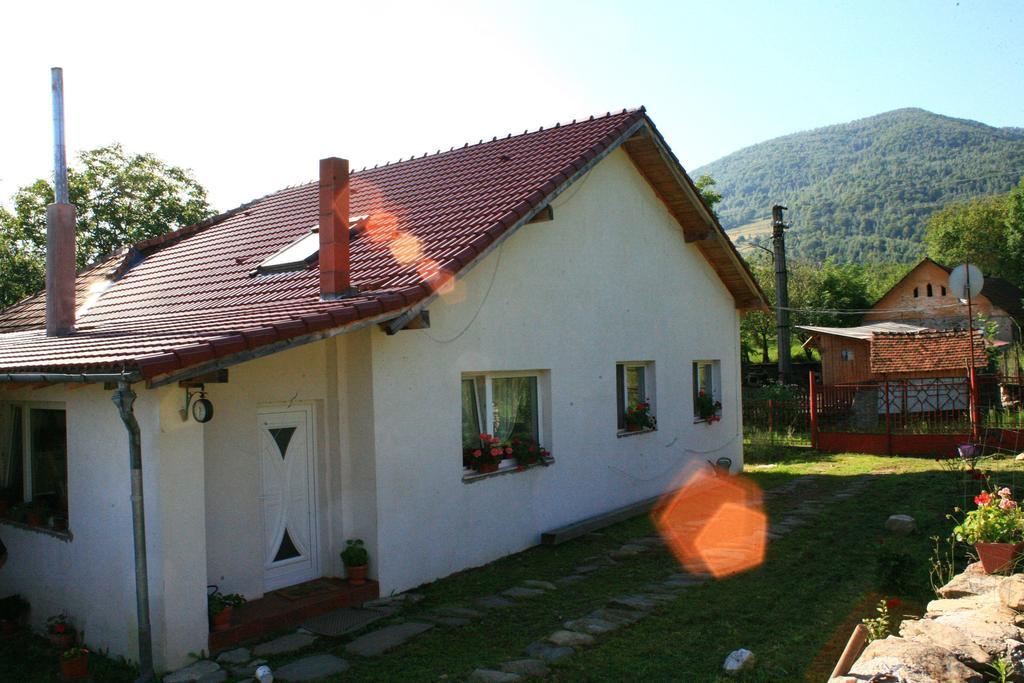 Cuibul Salamandrelor Hotel Várhely Kültér fotó