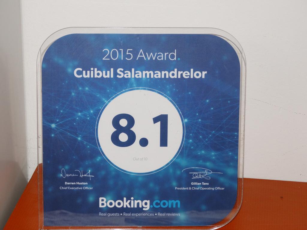 Cuibul Salamandrelor Hotel Várhely Kültér fotó